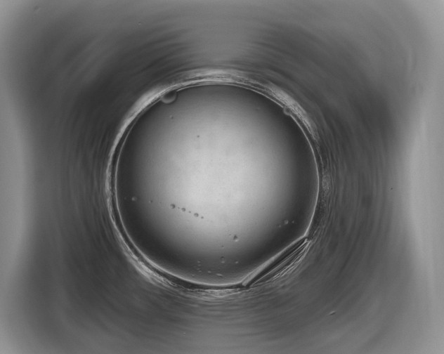 X0000116651482200912141245