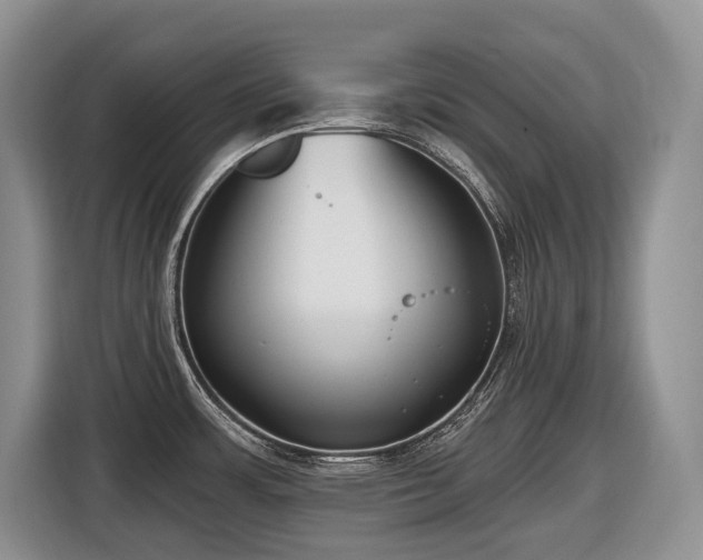 X0000116651483200912141245