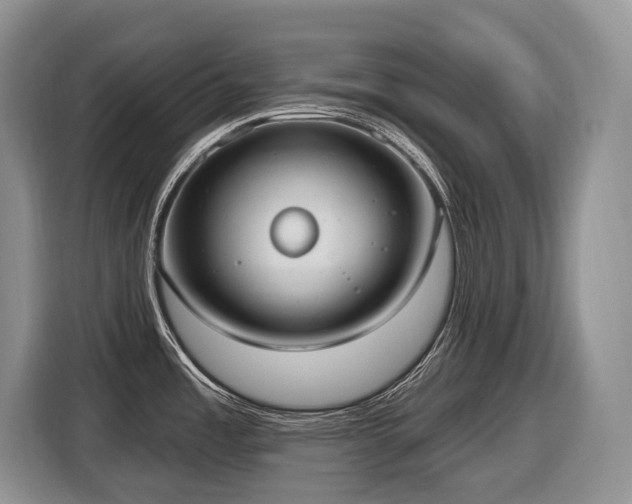 X0000116651485200912141245