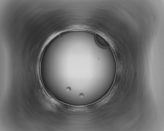 X0000116651486200912141245