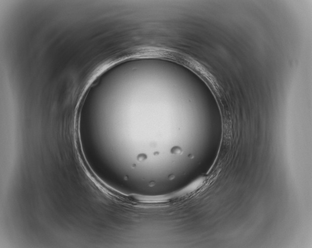 X0000116651487200912141245