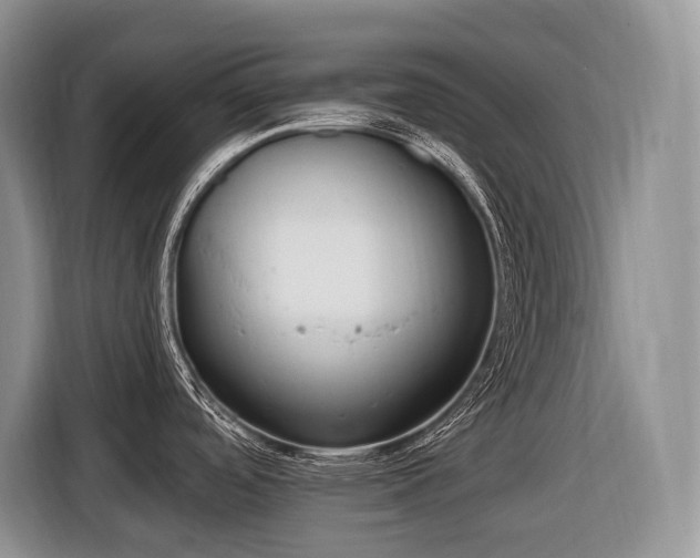 X0000116651488200912141245