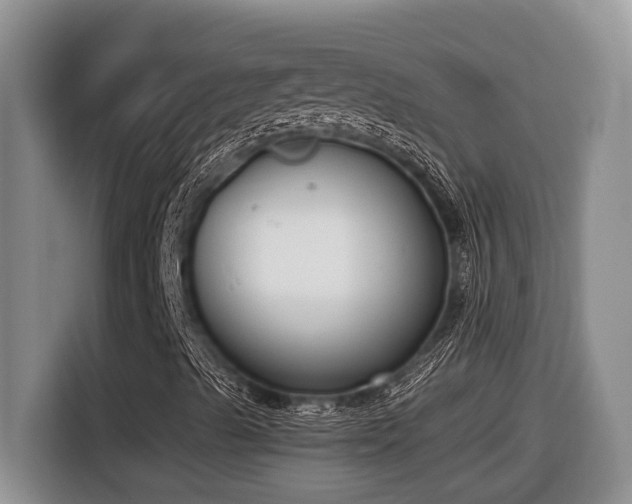X0000116651489200912141245