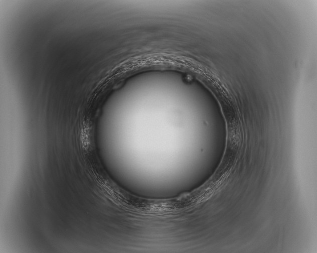 X0000116651490200912141245