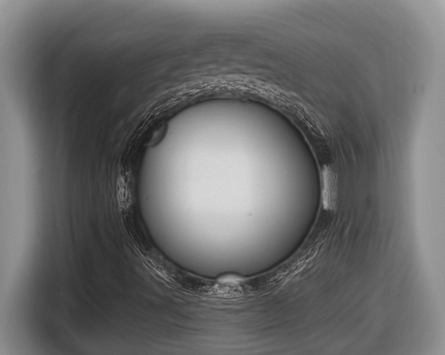 X0000116651491200912141245