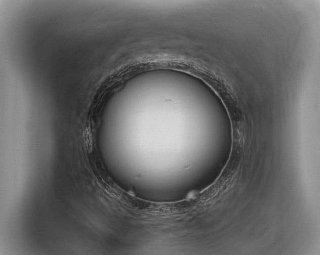 X0000116651493200912141245