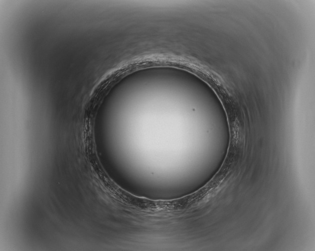 X0000116651494200912141245