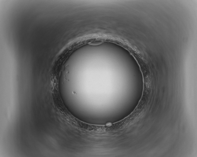 X0000116651495200912141245