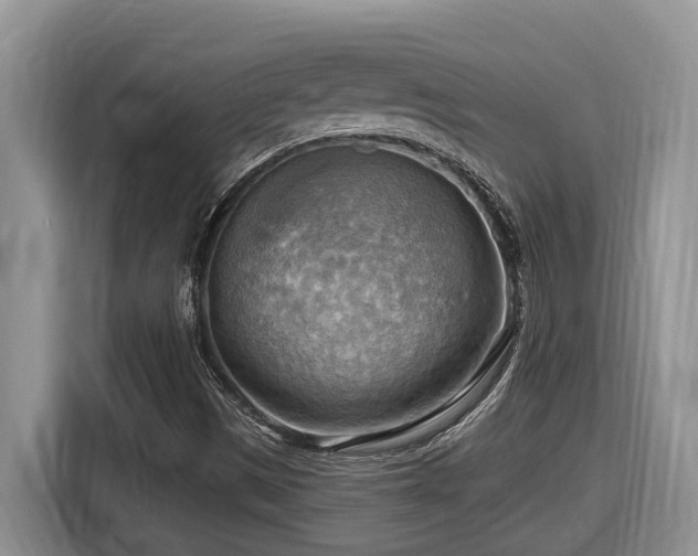 X0000116651497200912141245