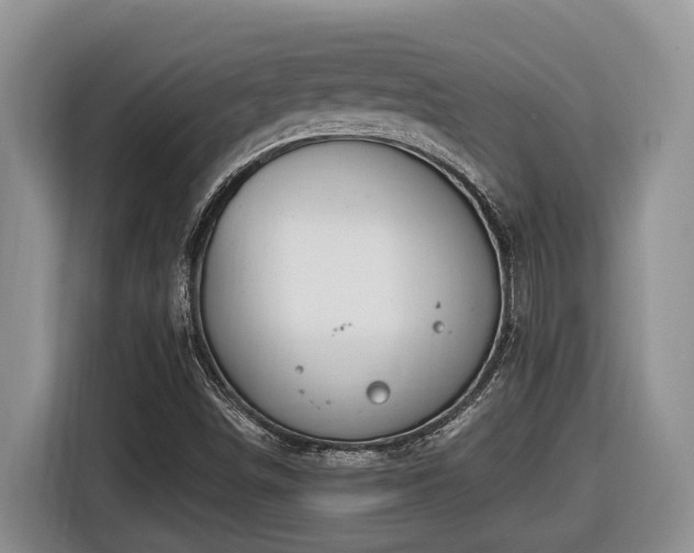 X0000116651498200912141245