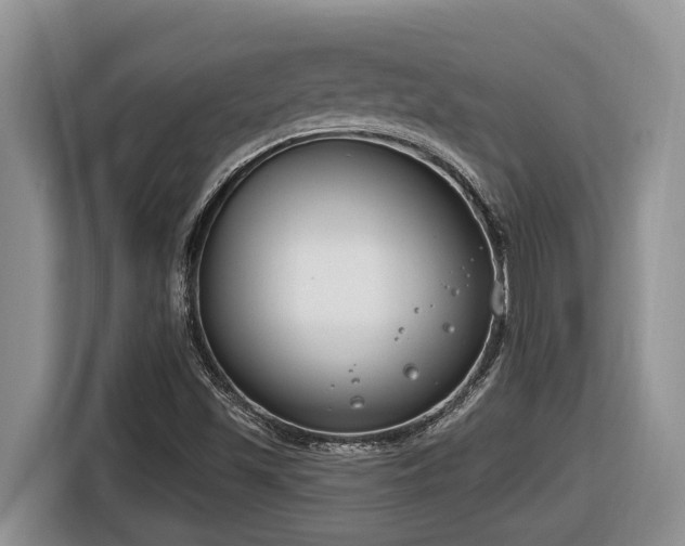 X0000116651501200912141245