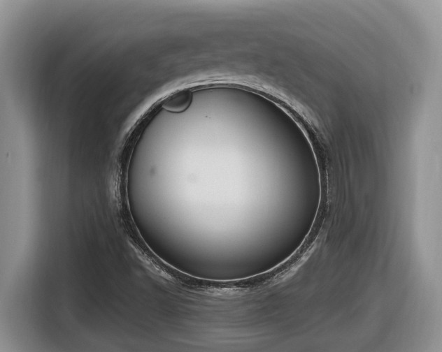 X0000116651502200912141245