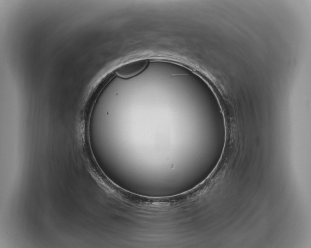 X0000116651503200912141245