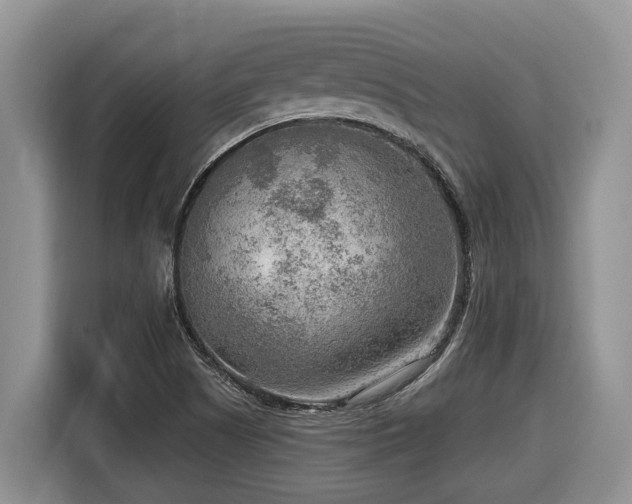 X0000116651505200912141245