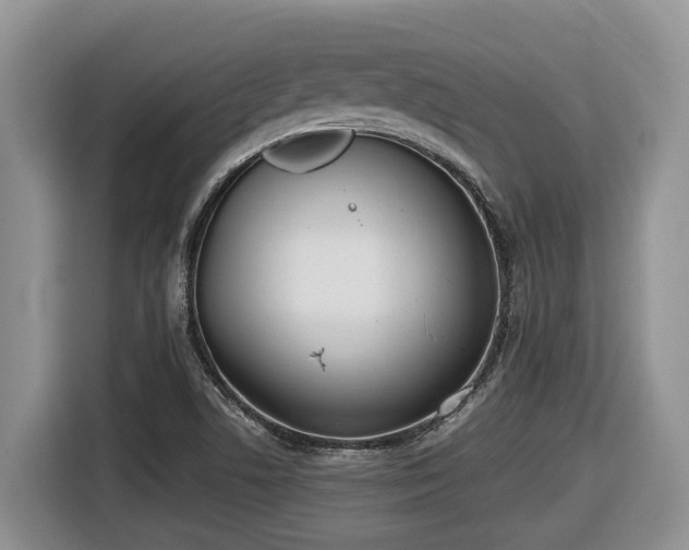 X0000116651506200912141245