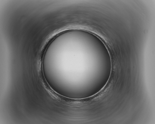 X0000116651507200912141245
