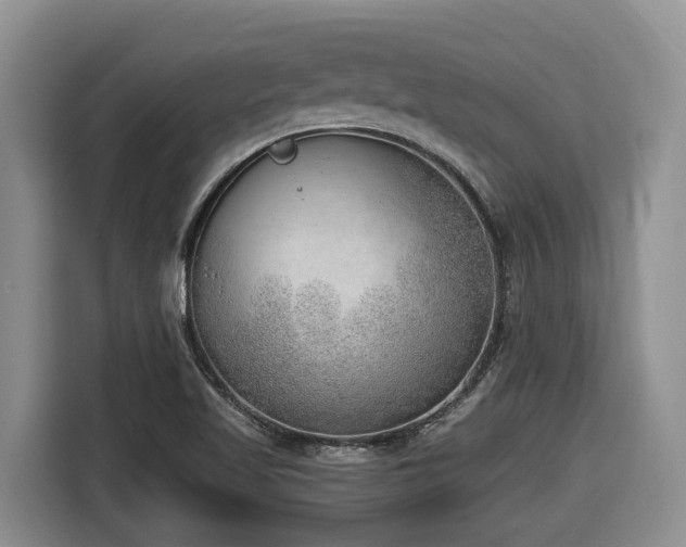 X0000116651509200912141245