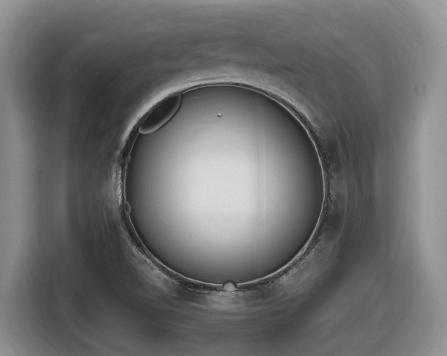 X0000116651510200912141245