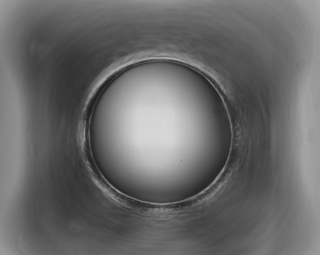 X0000116651511200912141245