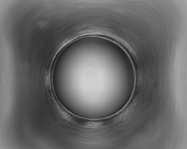 X0000116651513200912141245