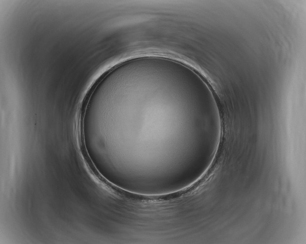 X0000116651515200912141245
