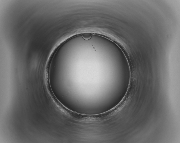 X0000116651517200912141245