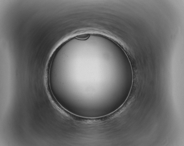X0000116651518200912141245