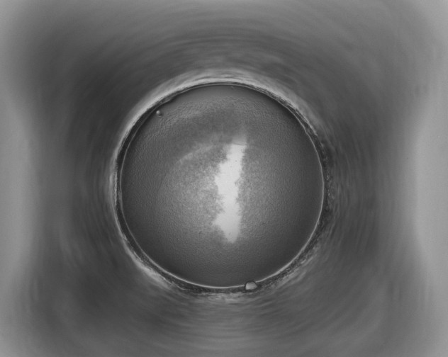 X0000116651519200912141245