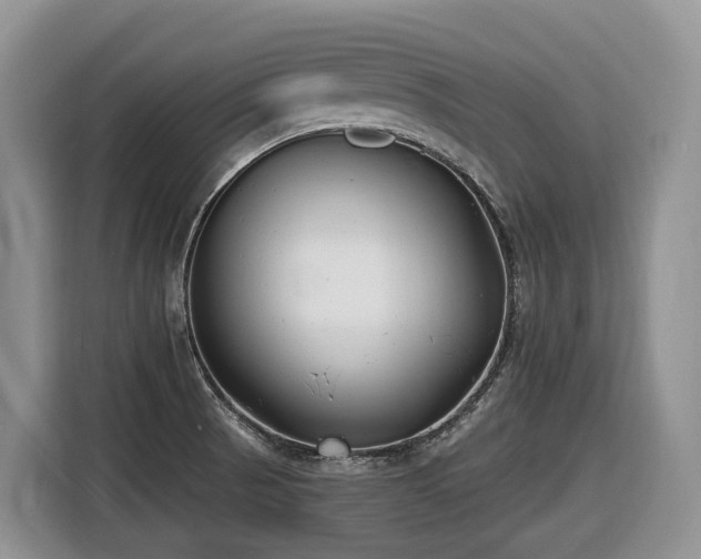 X0000116651521200912141245