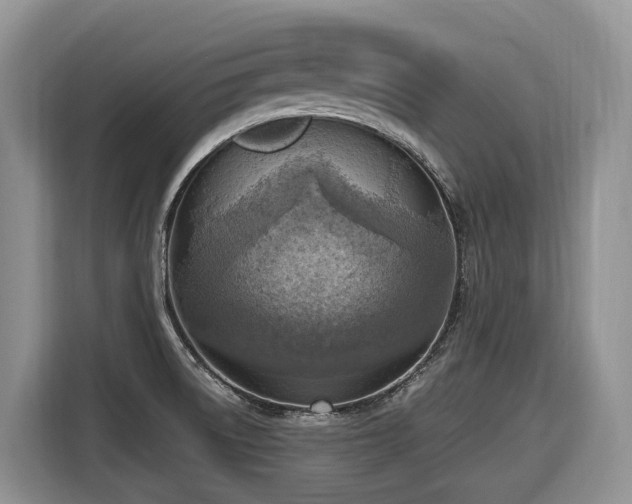 X0000116651522200912141245