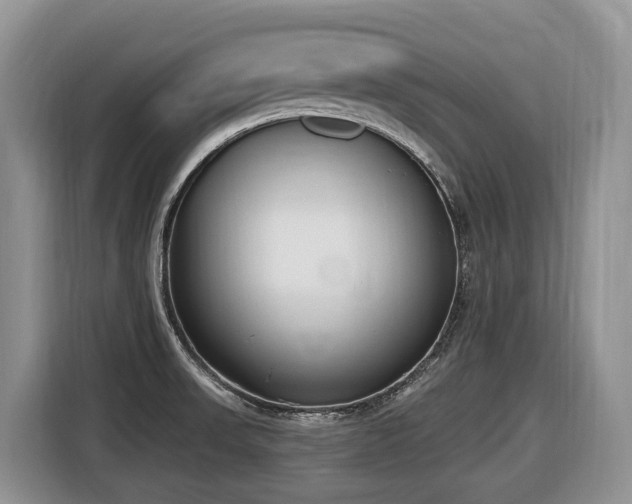 X0000116651523200912141245