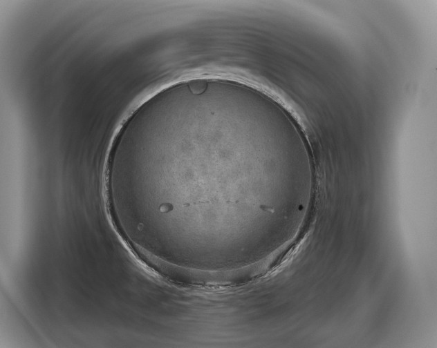 X0000116651525200912141245