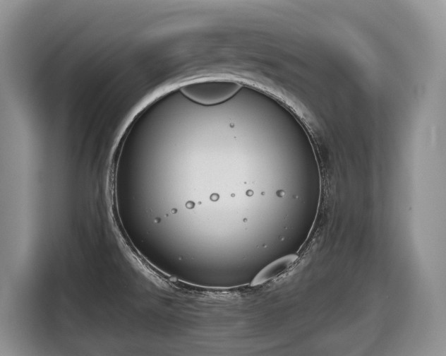 X0000116651526200912141245