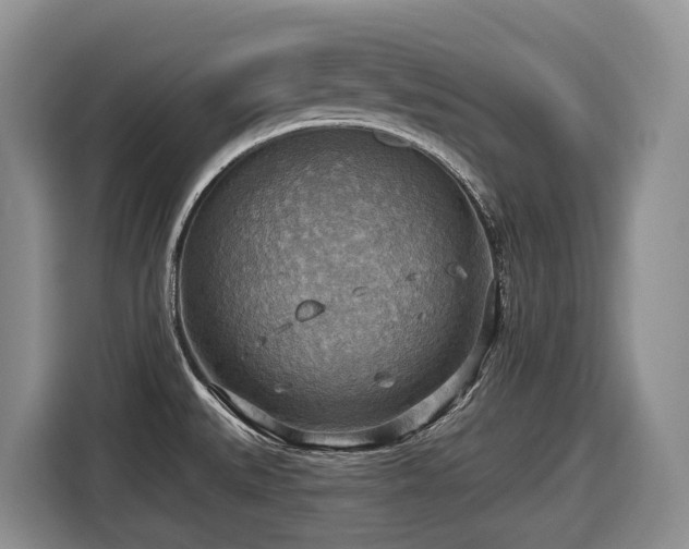 X0000116651527200912141245