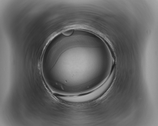 X0000116651529200912141245
