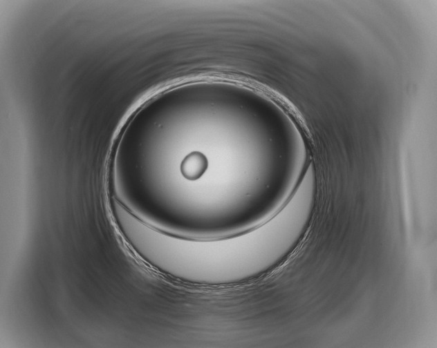 X0000116651530200912141245