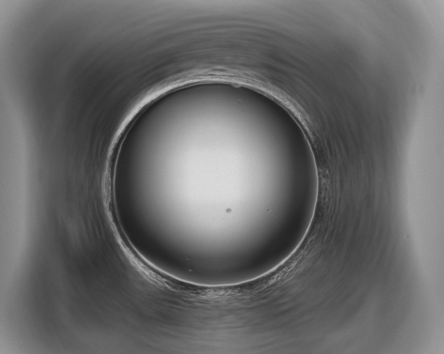 X0000116651531200912141245