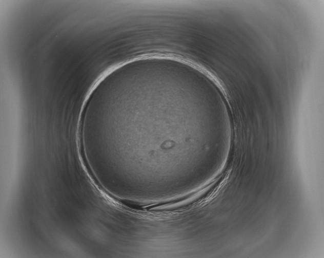 X0000116651533200912141245