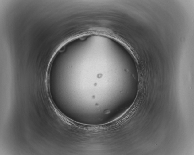 X0000116651535200912141245