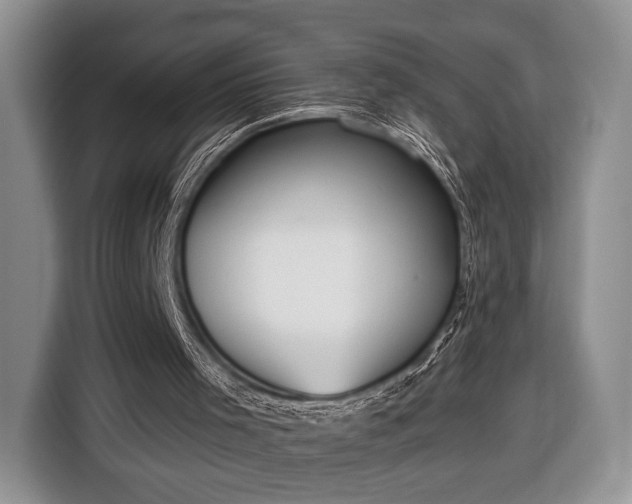 X0000116650001200912211456