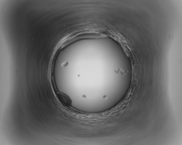 X0000116650003200912211456