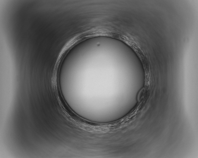 X0000116650004200912211456