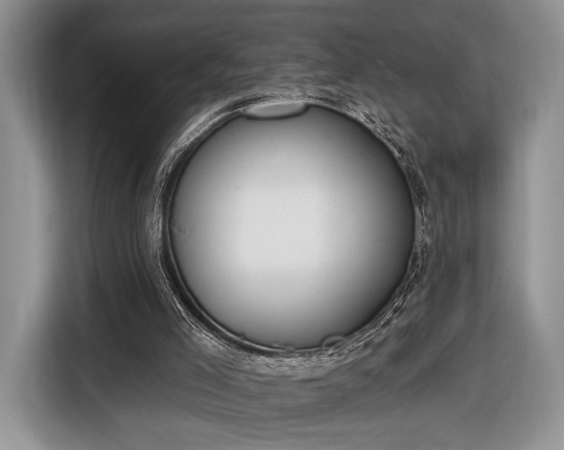 X0000116650005200912211456