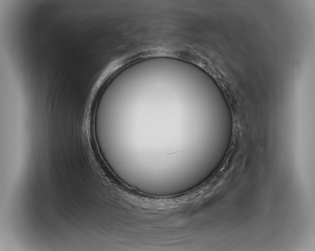 X0000116650006200912211456
