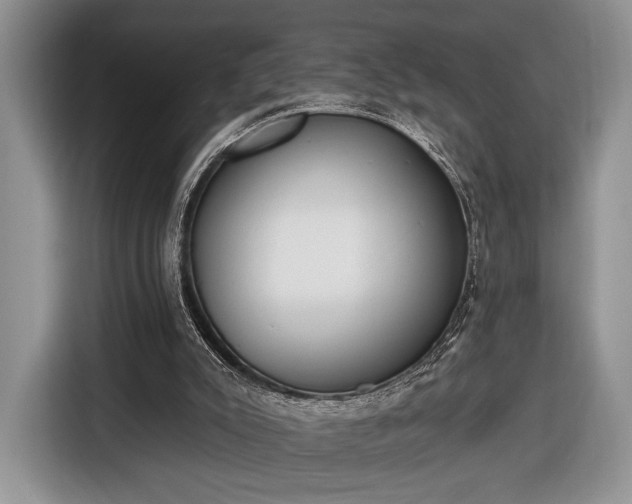 X0000116650007200912211456