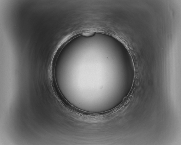 X0000116650008200912211456