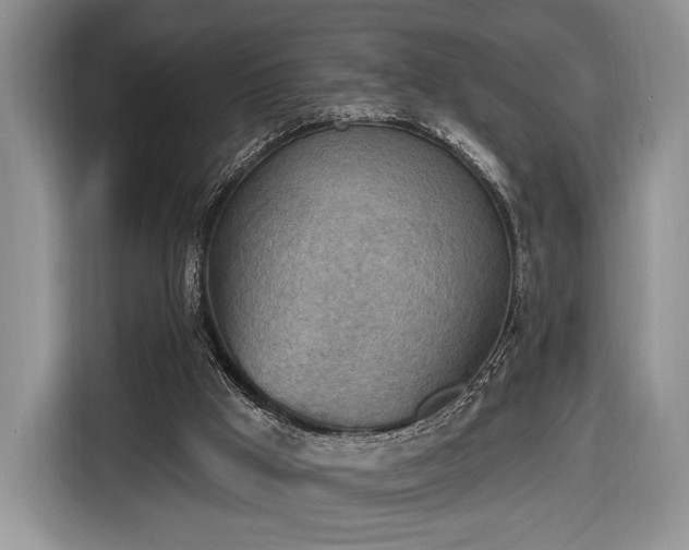 X0000116650009200912211456