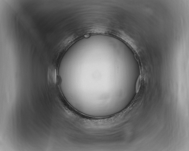 X0000116650013200912211456