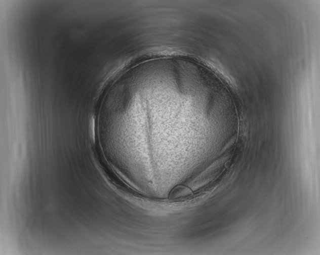 X0000116650014200912211456