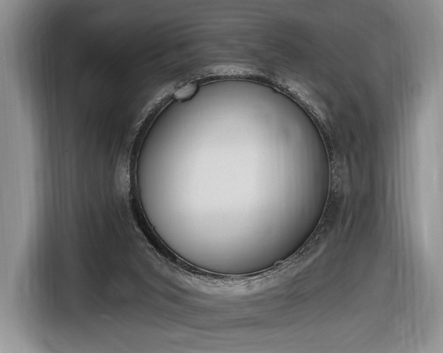 X0000116650015200912211456